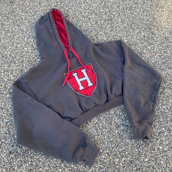Harvard Cropped Sweatshirt - Picture 1 of 4